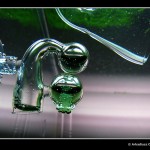 360 - Pień [grudzień foto 12]