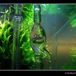 360 - Pień [grudzień foto 4]