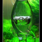 360 - Pień [grudzień foto 8]