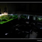 ADG_10_01_2