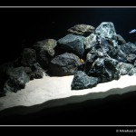 Malawi_0718_2