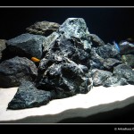 Malawi_0718_3