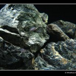 Malawi_0720_7