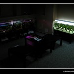 ADZTH preview [foto 1]