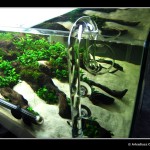 ADZTH preview [foto 7]